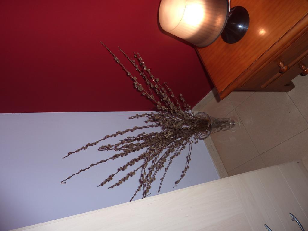 Ferienwohnung El Molino Castejón de Sos Exterior foto